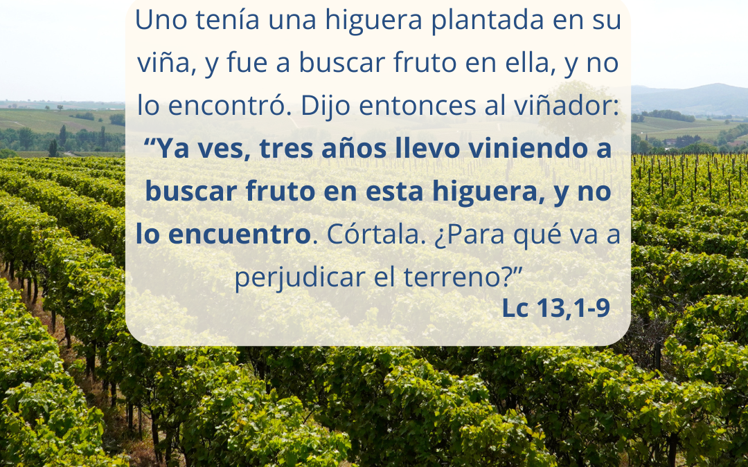 Tu Palabra nos da vida: III domingo de Cuaresma (23-03-2025)