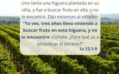 Tu Palabra nos da vida: III domingo de Cuaresma (23-03-2025)